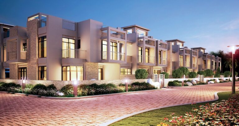 The Paragon by IGO