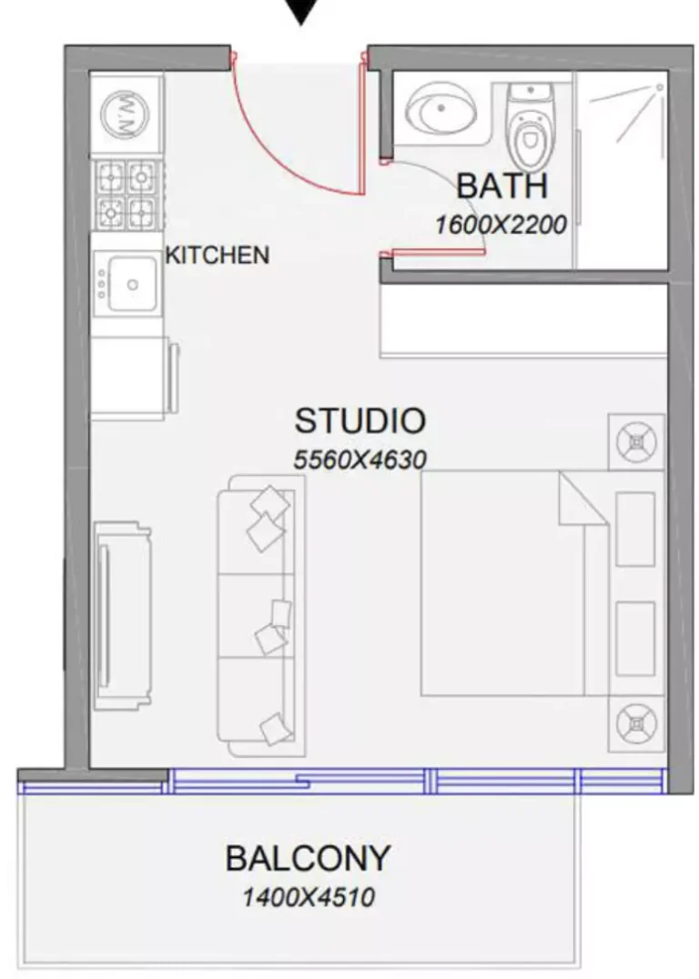 Park Boulevard floor plan Studio · 390 sqft