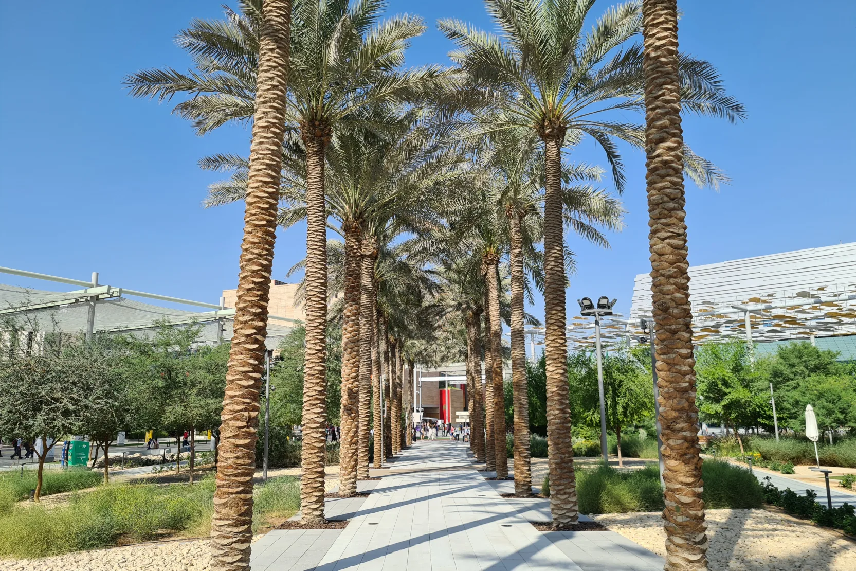 Al Forsan District
