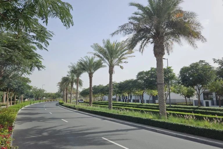 Arabian Ranches 3
