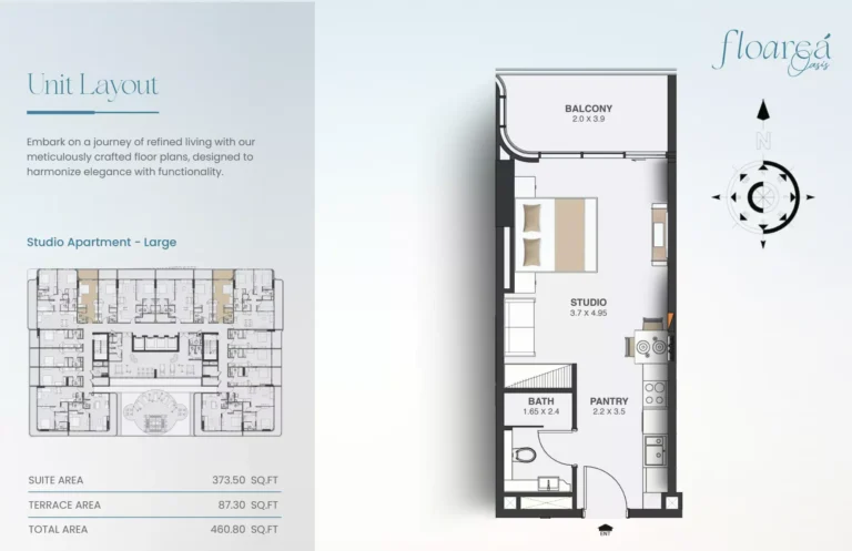 Floarea Oasis floor plan Studio · 460 sqft