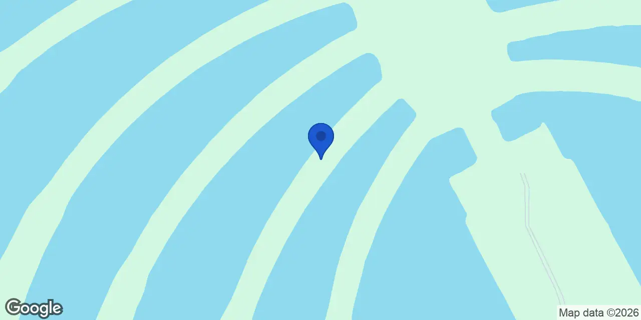 The Beach Collection Frond O