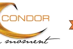 Condor Developers logo