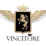 Vincitore Real Estate Development LLC logo