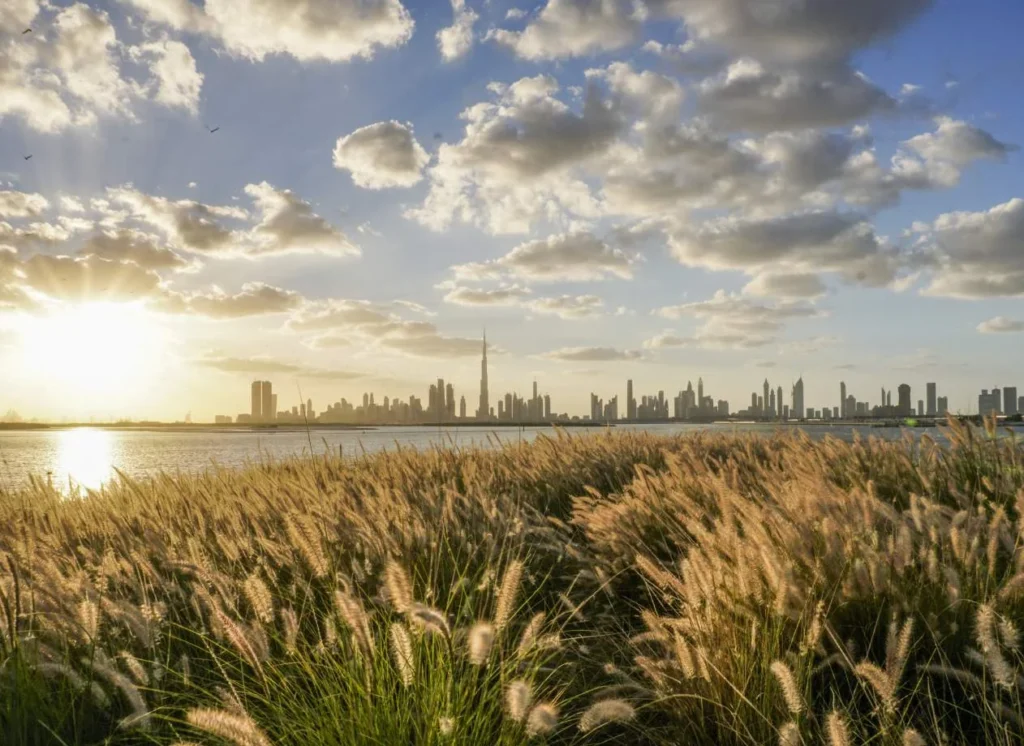 Divine Al Barari by Takmeel Real Estate Development L.L.C | Takmeel Real Estate in Majan, Dubai