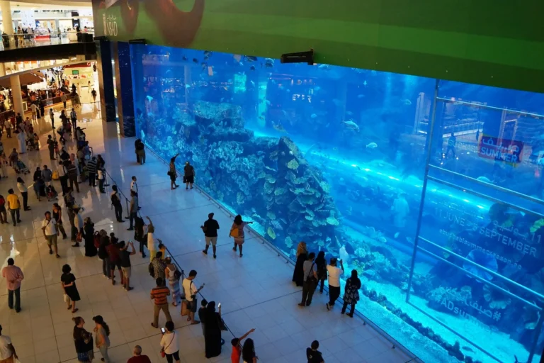 Dubai Aquarium