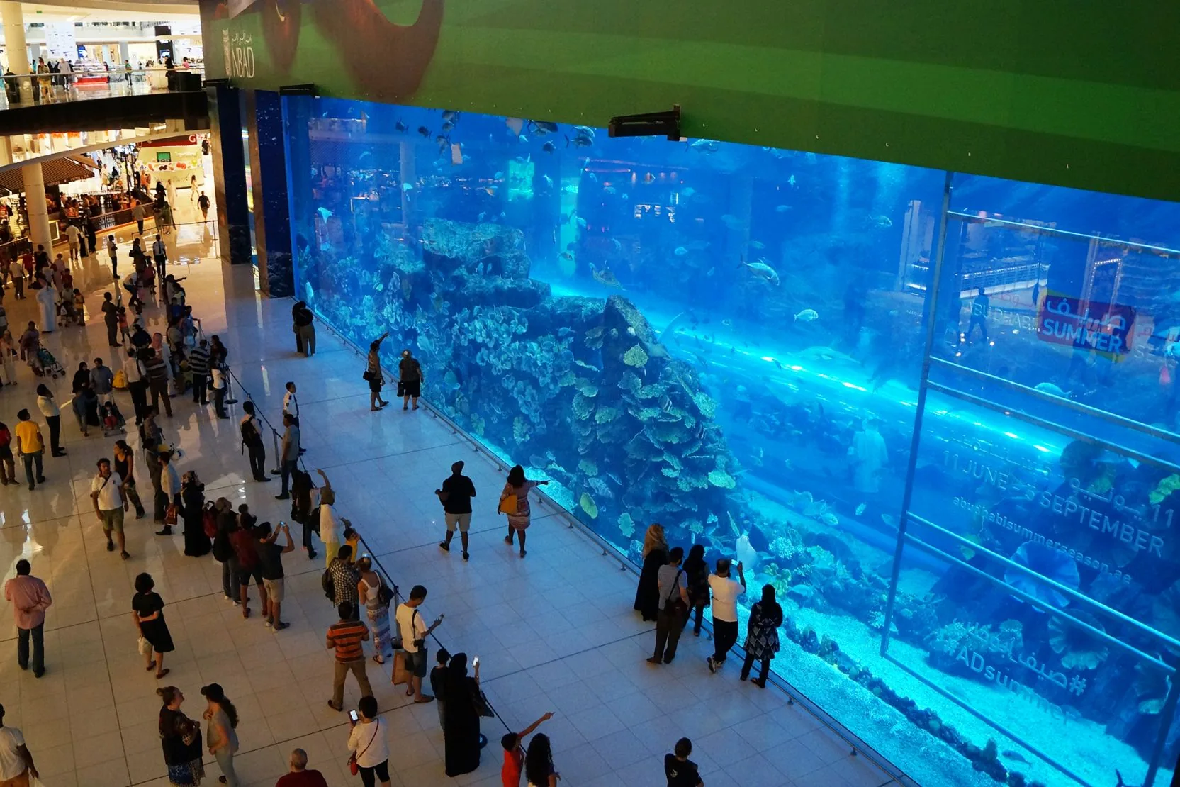 Dubai Aquarium