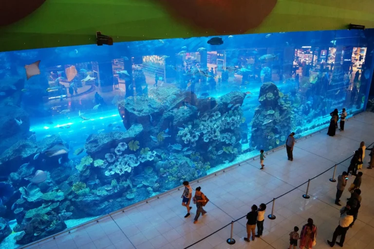 Dubai Aquarium
