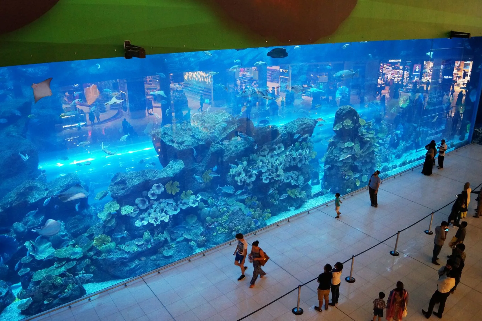 Dubai Aquarium
