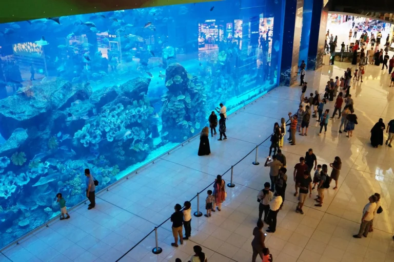 Dubai Aquarium