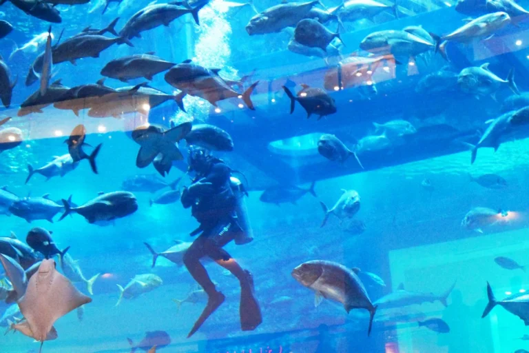 Dubai Aquarium