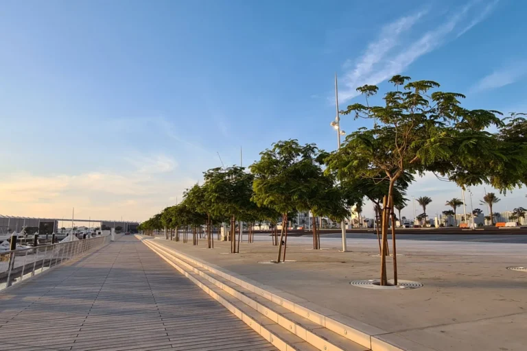 Dubai Harbour