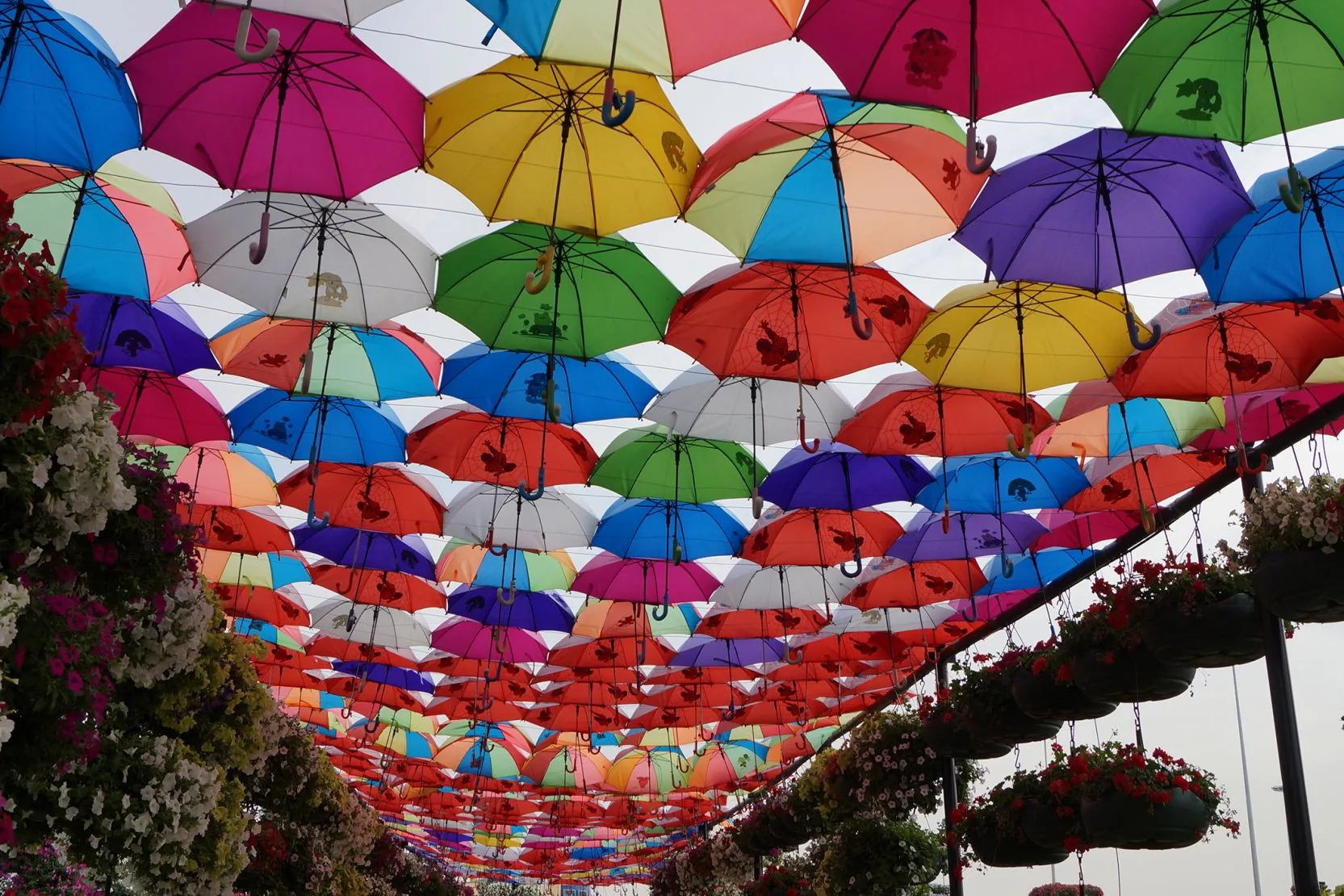 Dubai Miracle Garden