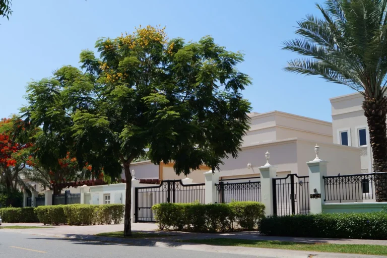 Emirates Hills