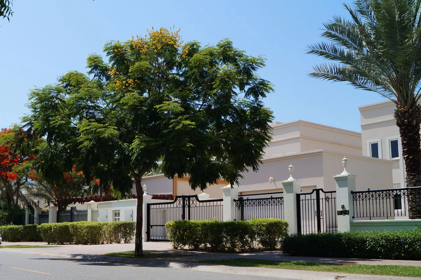 Emirates Hills