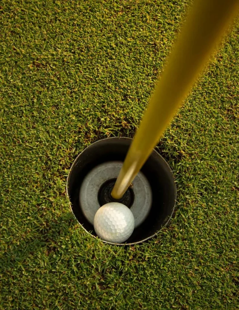 Expo Golf Apartments by Emaar Properties in Emaar South, Dubai