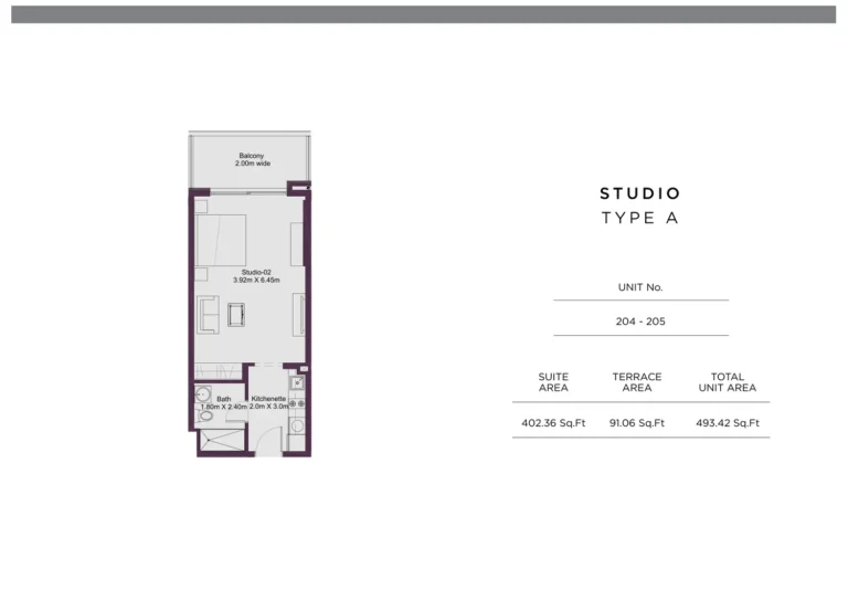 Dune Residency floor plan Studio · 493 sqft