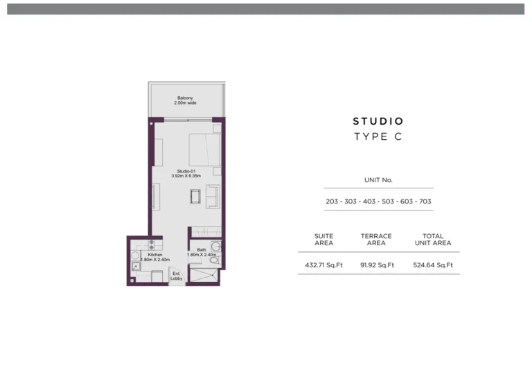 Dune Residency floor plan Studio · 524 sqft