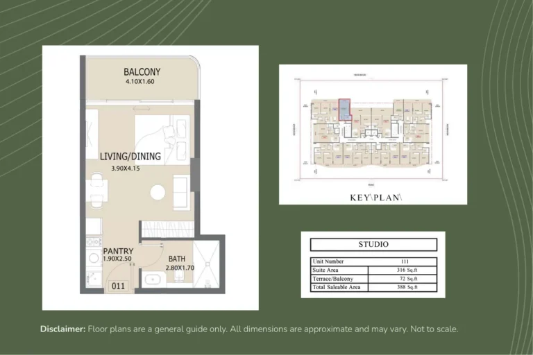Aero 1 floor plan Studio · 316 sqft