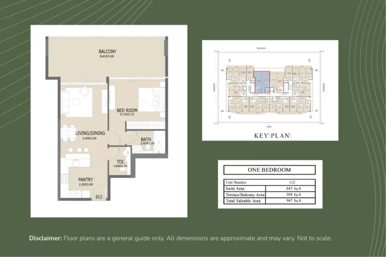 Aero 1 floor plan 1 BR · 643 sqft
