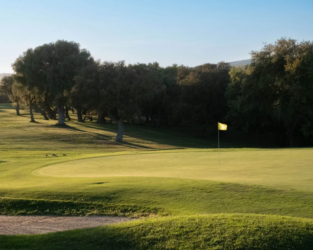 Golf Meadows by Emaar Properties in Emaar South, Dubai