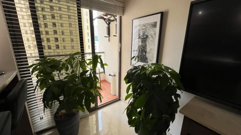 How to buy a property in Dubai in Plaza Boutique 15 – analysis 2025 — 22.12.2025