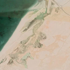 Jebel Ali Wetland Sanctuary