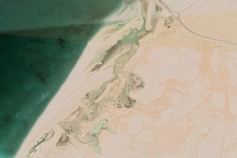 Jebel Ali Wetland Sanctuary