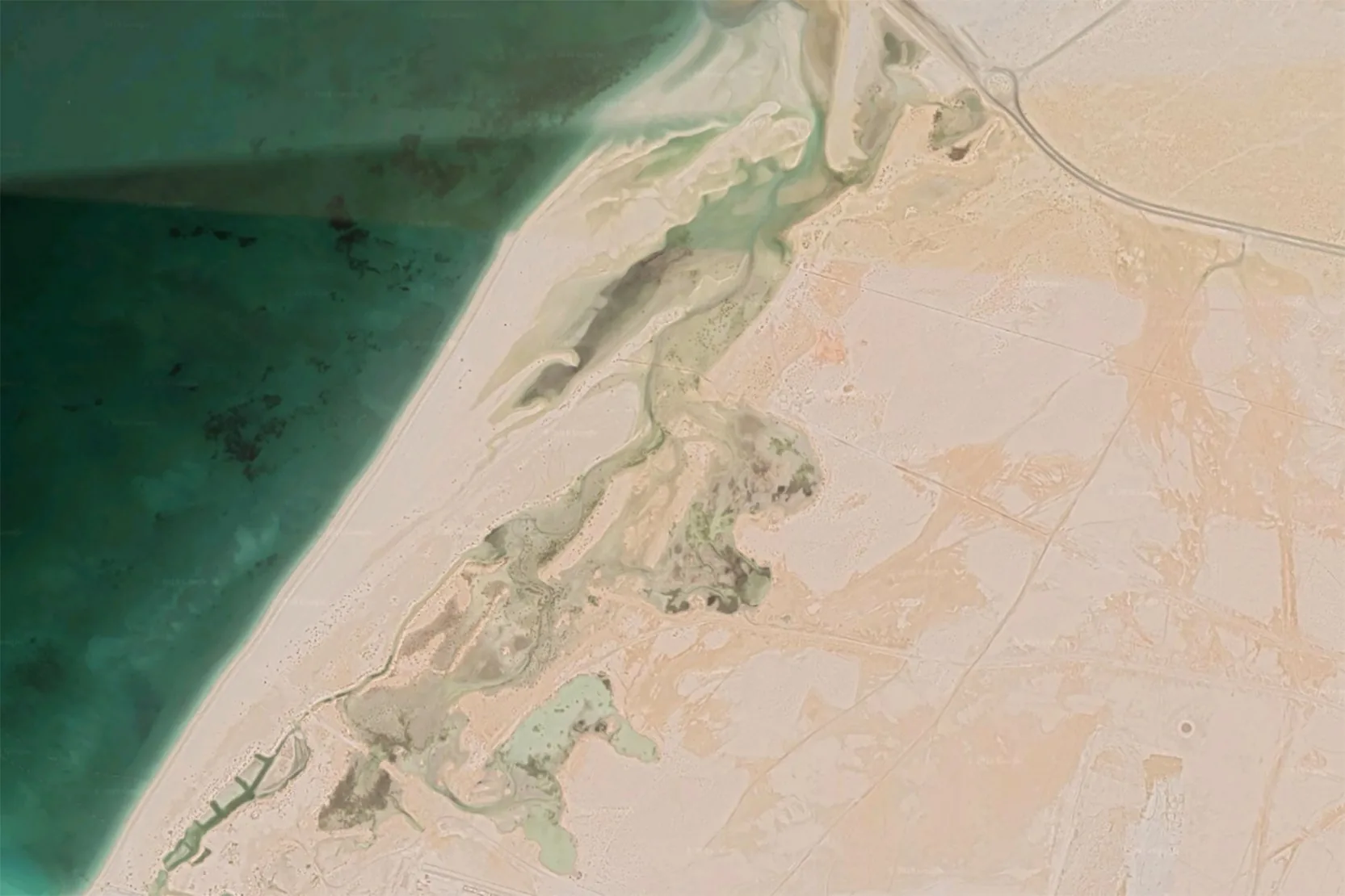 Jebel Ali Wetland Sanctuary - Jebel Ali Wetland Sanctuary
