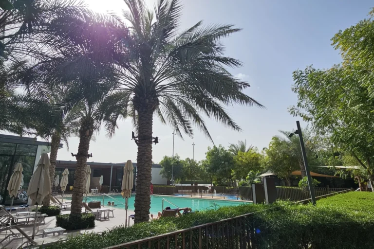 Joy at Arabian Ranches 3