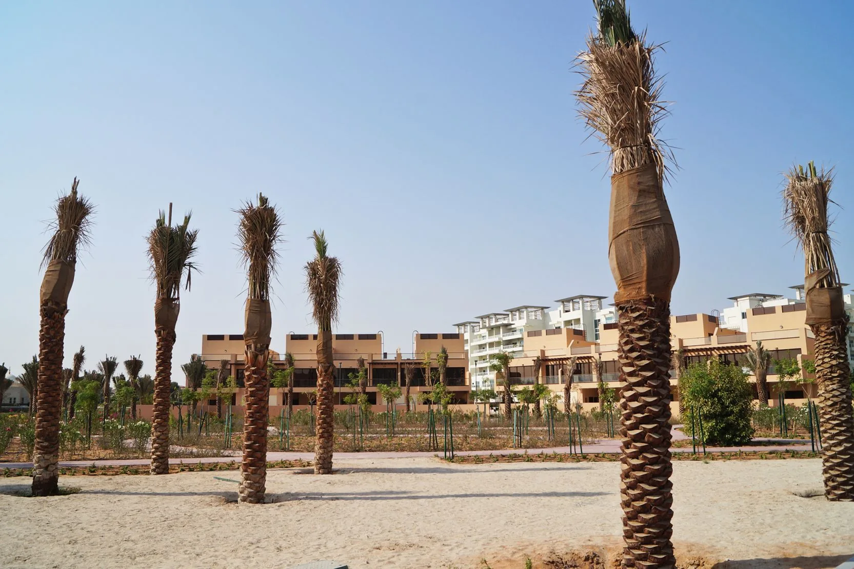 Jumeirah Islands Townhouses