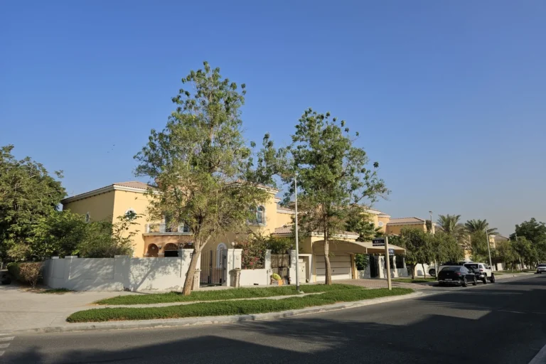 Jumeirah Park District 1
