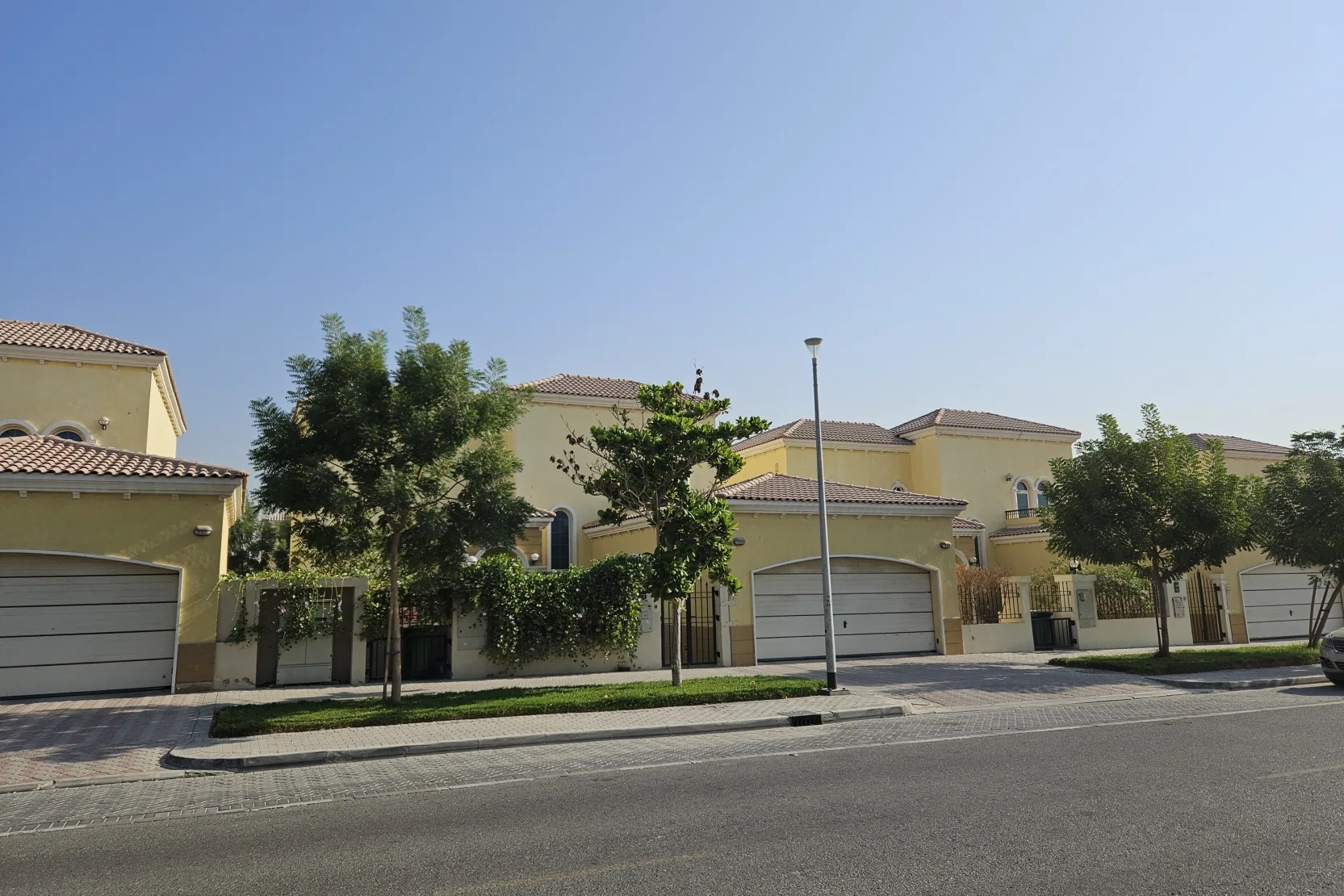 Jumeirah Park District 5