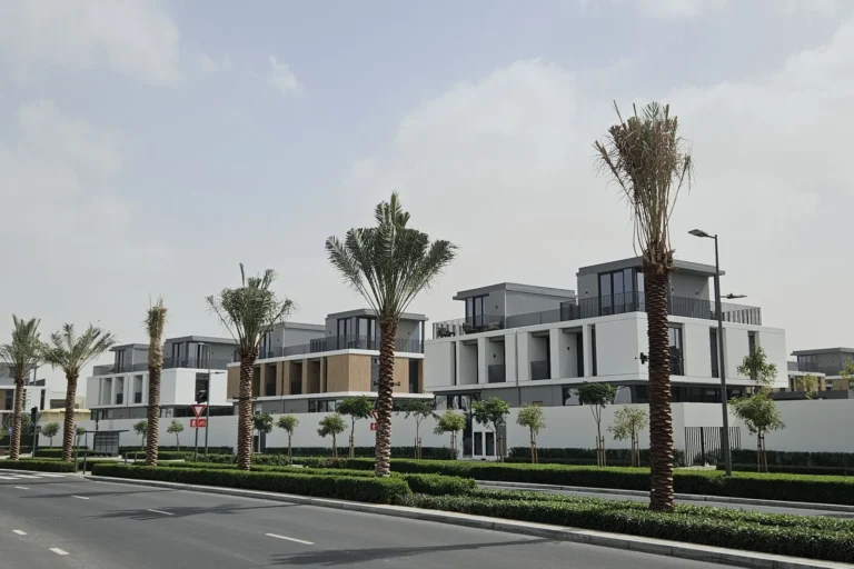 June at Arabian Ranches 3