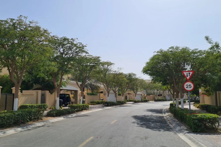 La Avenida 2
