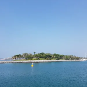 Logo Island