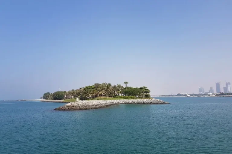 Logo Island