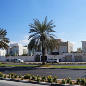 Al Manara