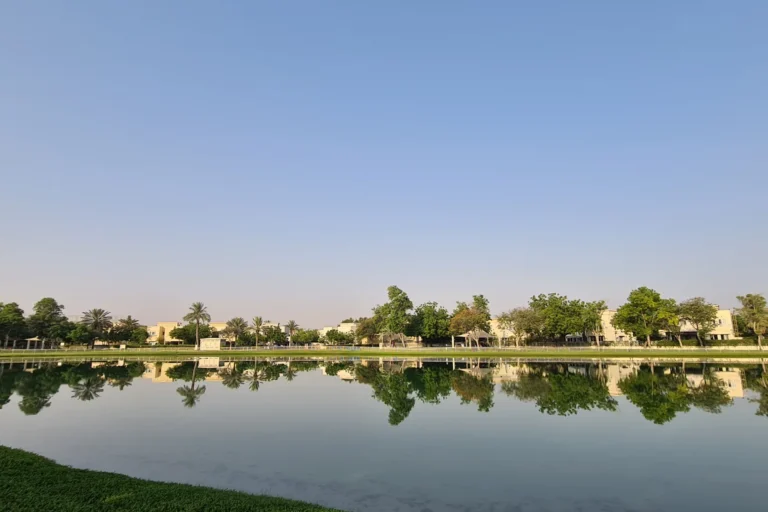 Meadows 9