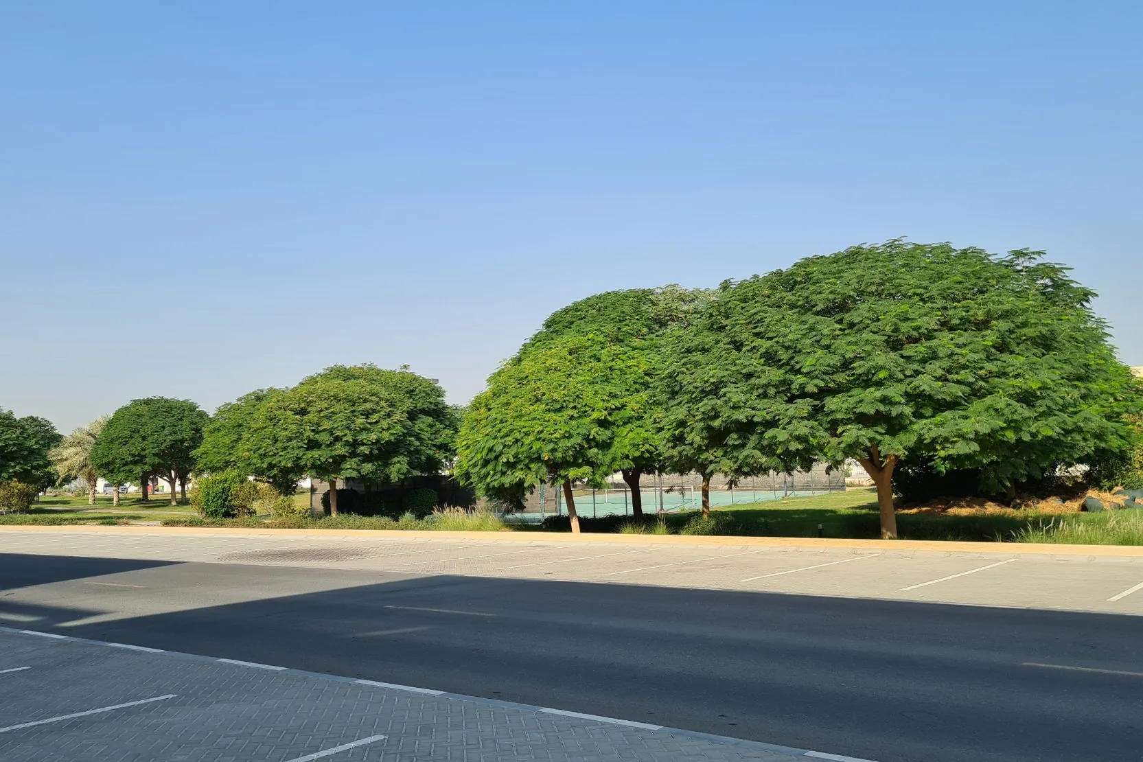 Meydan Heights - Meydan Heights