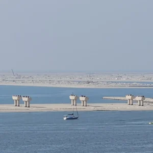 Palm Jebel Ali Frond B - X0How