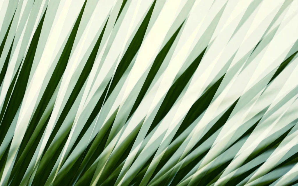 Palm Jebel Ali - Frond F by The Palm - Jebel Ali Co in Palm Jebel Ali, Dubai
