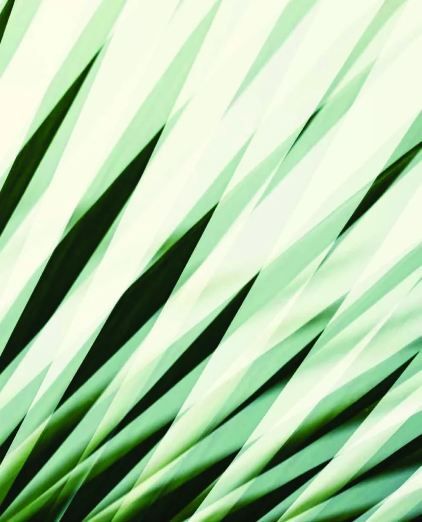 Palm Jebel Ali - Frond J by The Palm - Jebel Ali Co in Palm Jebel Ali, Dubai