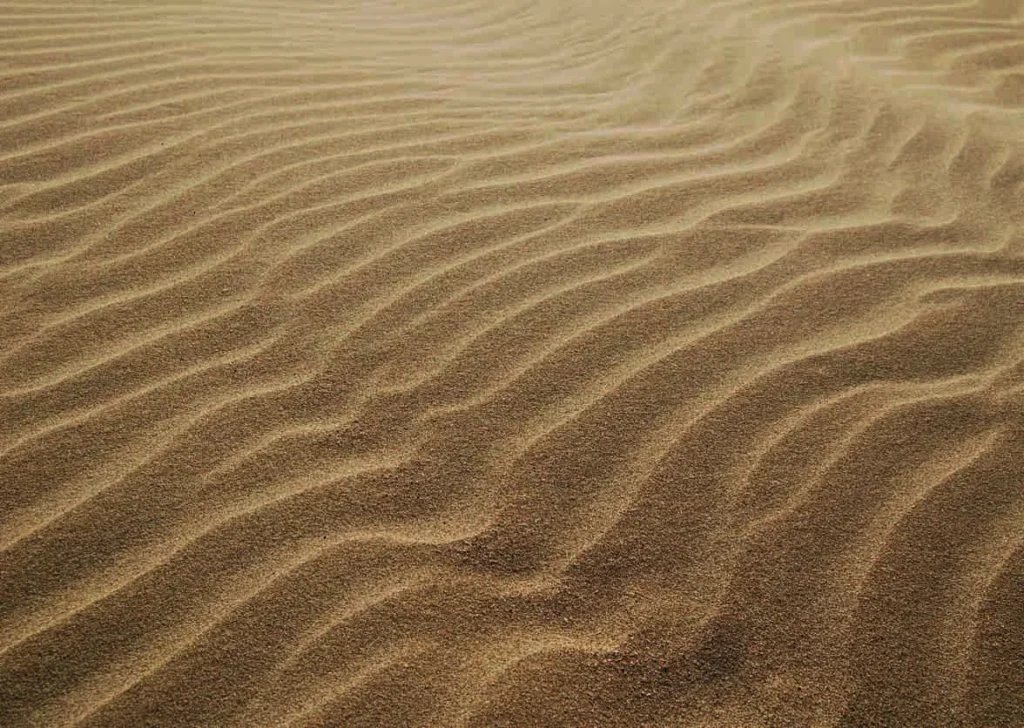 Palm Jebel Ali - The Beach And Coral Collection - Frond F by The Palm - Jebel Ali Co in Palm Jebel Ali, Dubai