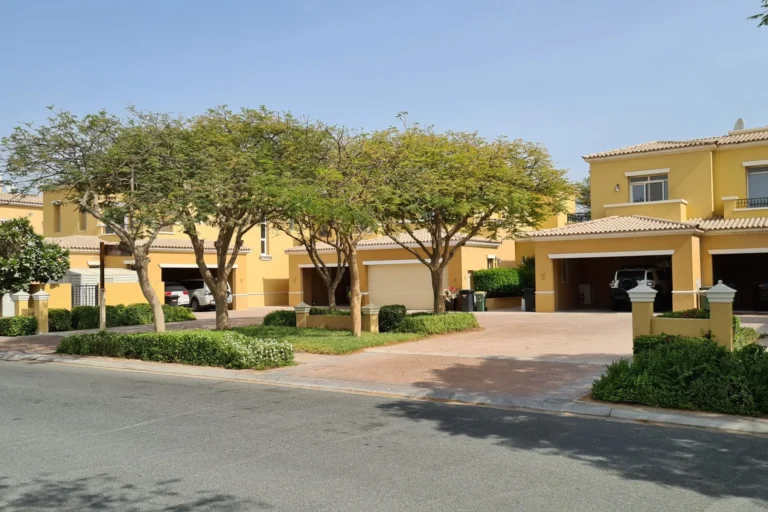 Palmera 1