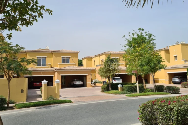 Palmera 2