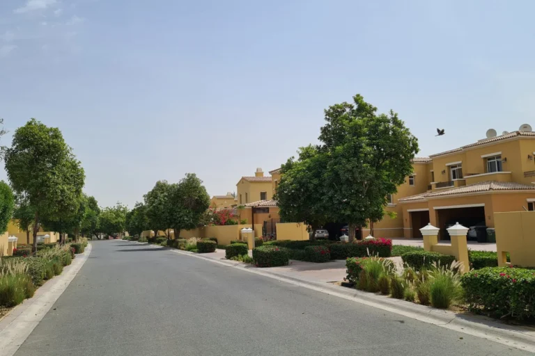 Palmera 3