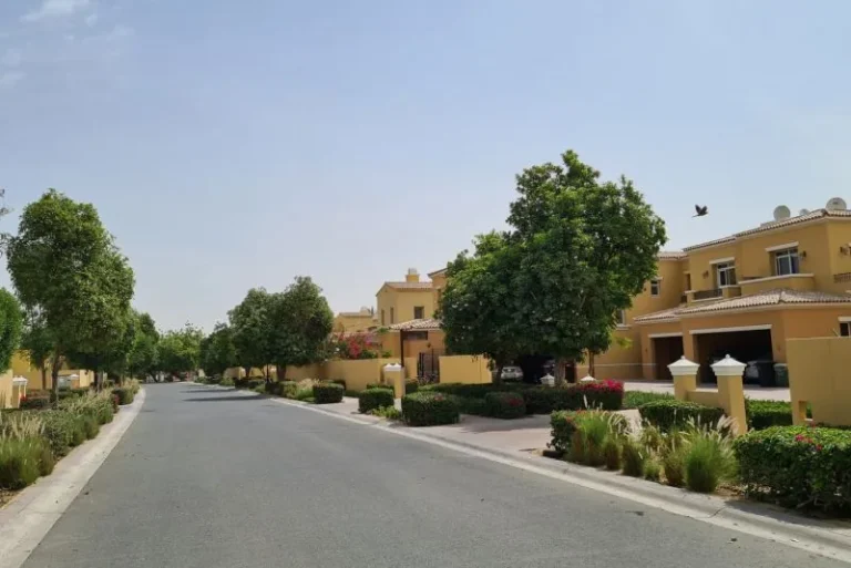 Palmera 3