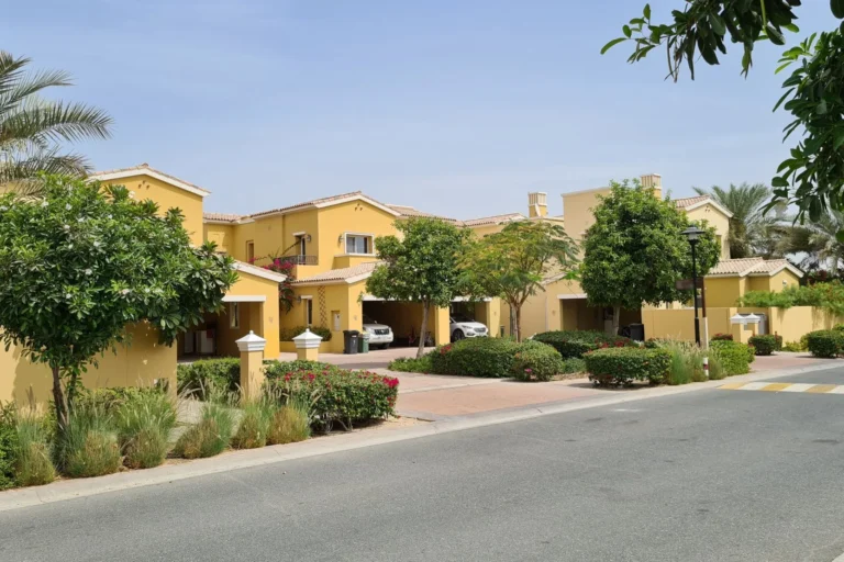 Palmera 4