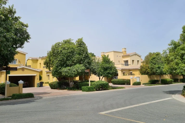 Palmera 4